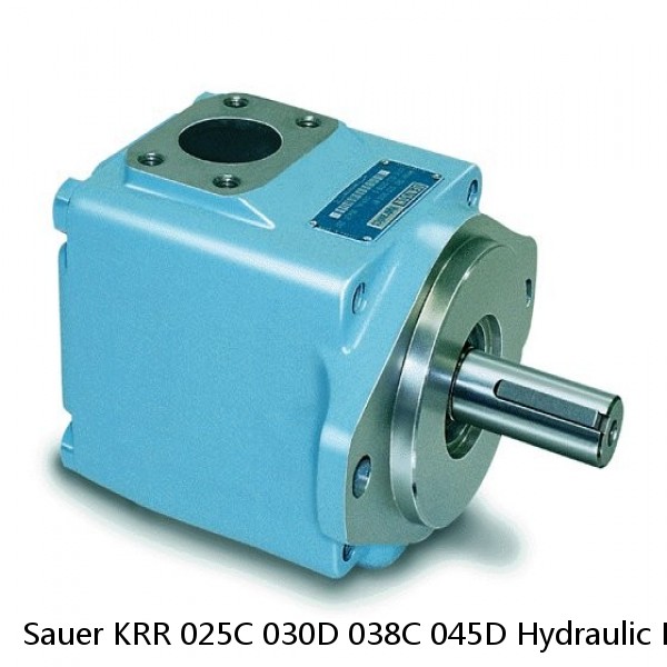 Sauer KRR 025C 030D 038C 045D Hydraulic Piston Pump Spare Parts for Excavator