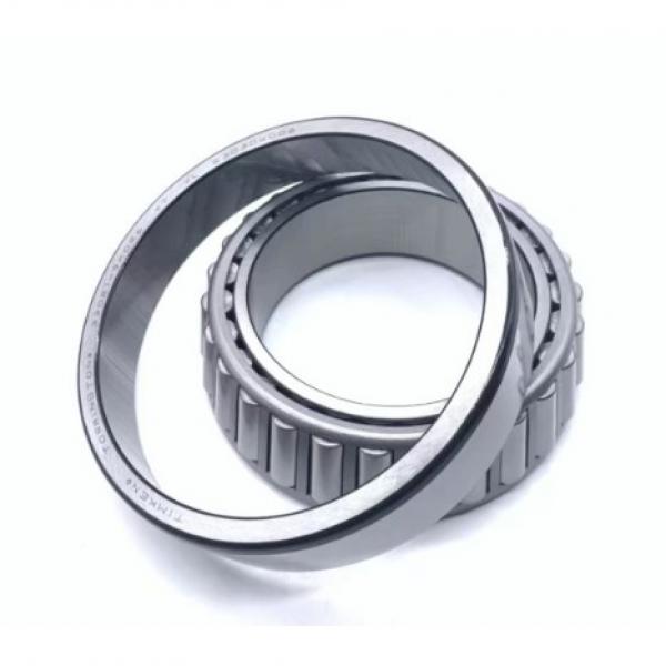 45 mm x 100 mm x 25 mm  FAG NUP309-E-TVP2  Cylindrical Roller Bearings #2 image